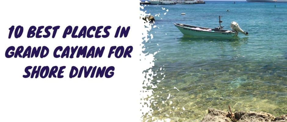 Best Places In Grand Cayman For Shore Dive