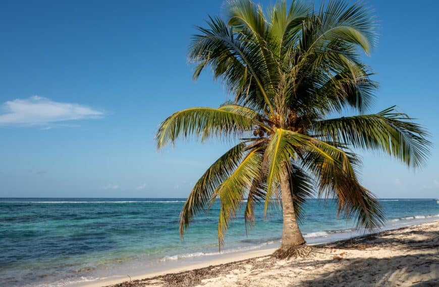 Best Beach In Grand Cayman Near Cruise Port - AllWorld.com