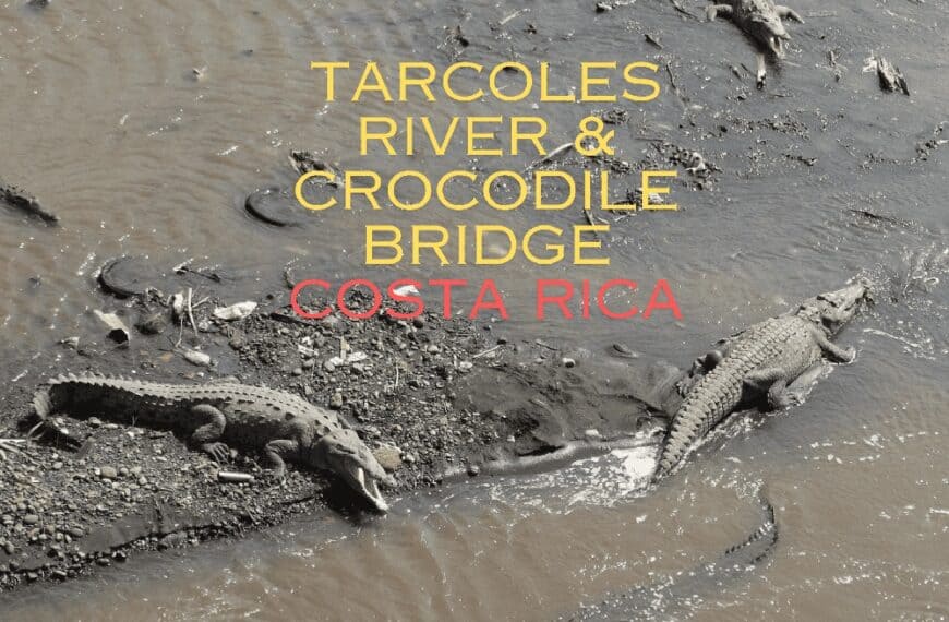 crocodile bridge costa rica tarcoles
