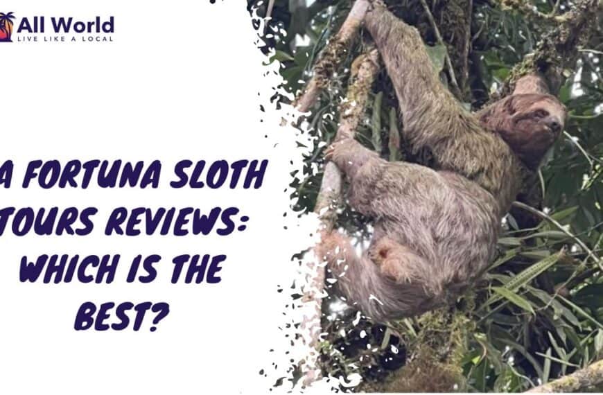 La Fortuna Sloth Tours Reviews