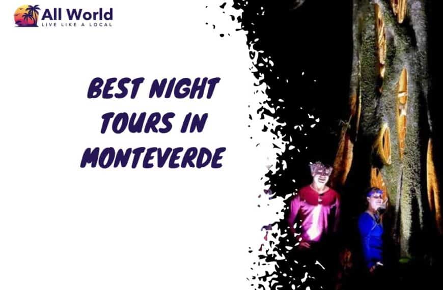 BEST Night Tours in Monteverde