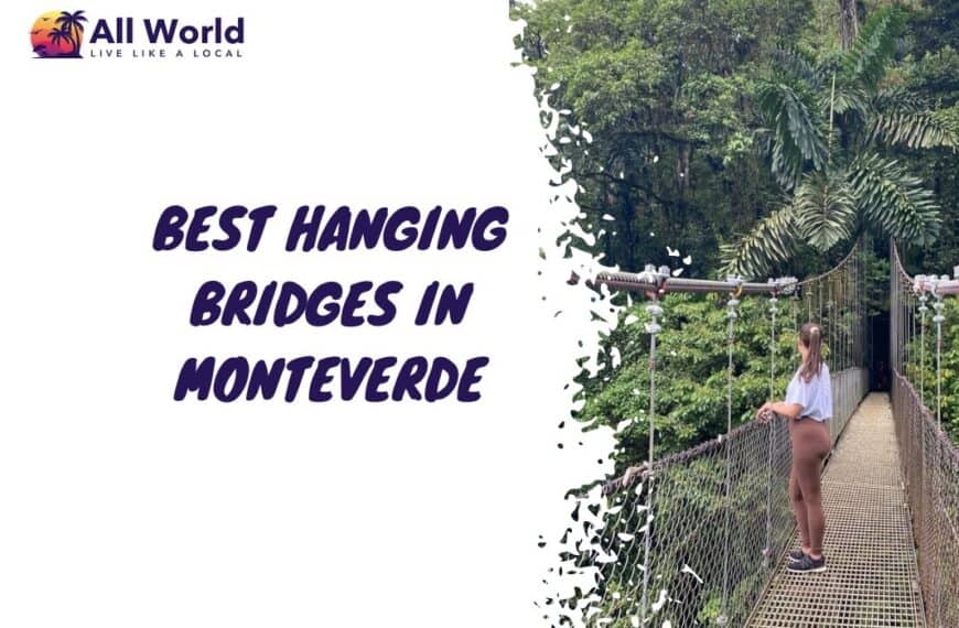 Best Hanging Bridges In Monteverde