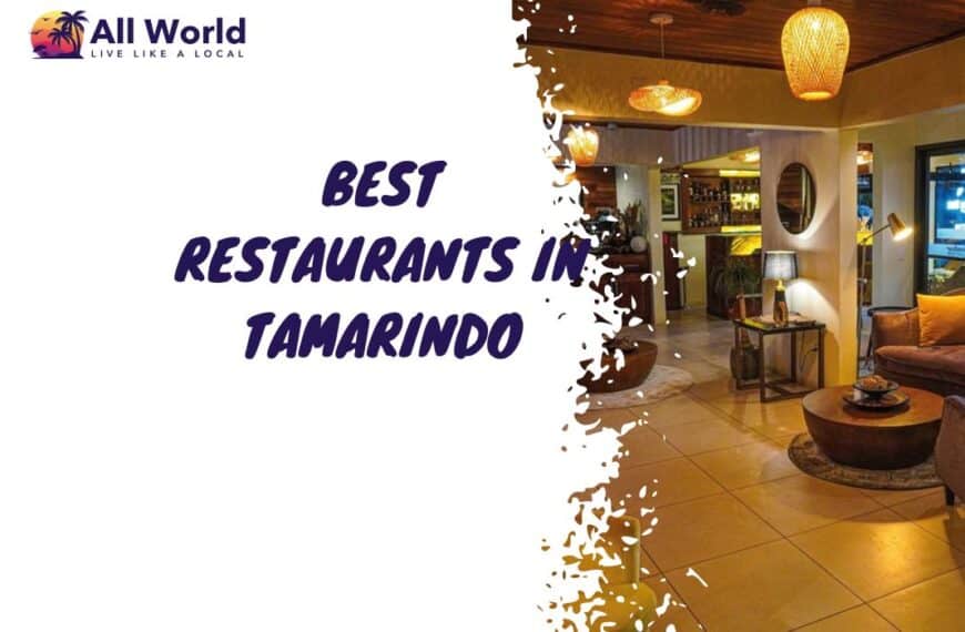 Best Restaurants In Tamarindo