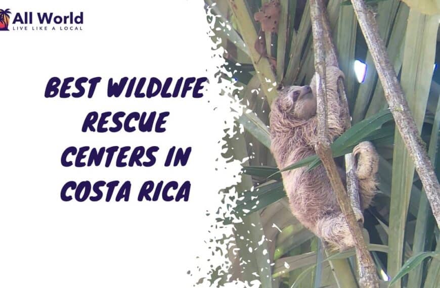 Best Wildlife Rescue Centers In Costa Rica