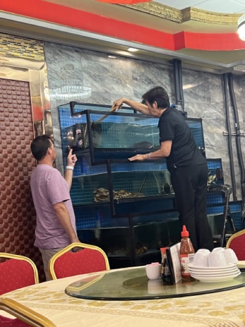 Dim Sum Fort Lauderdale