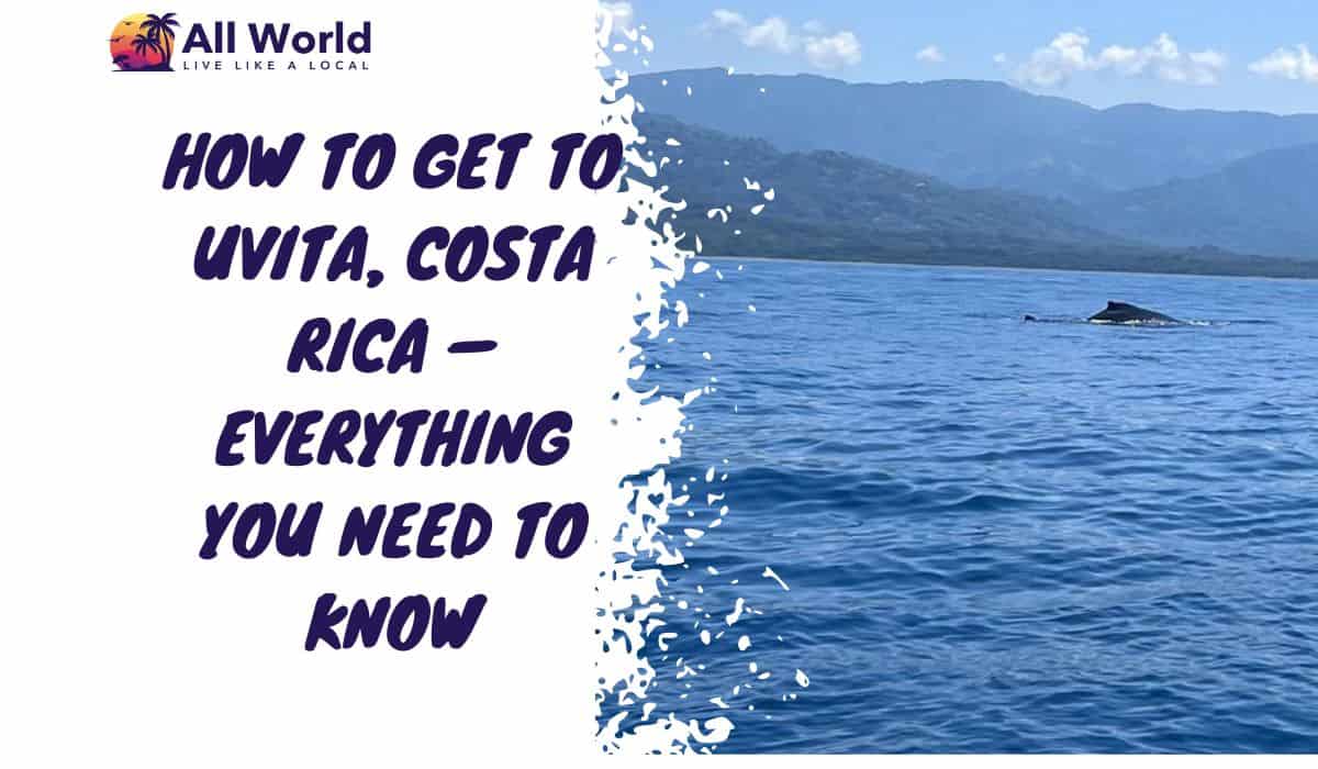 How To Get To Uvita Costa Rica