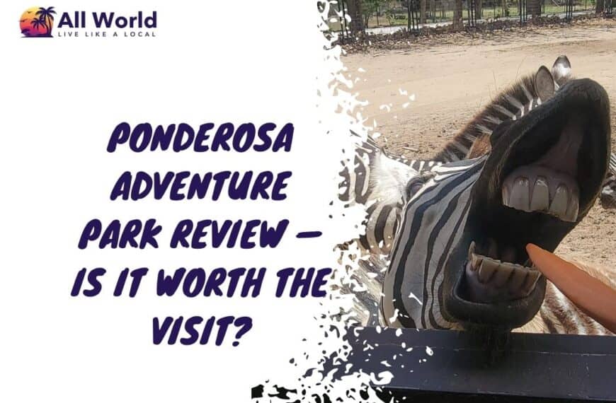 Ponderosa Adventure Park Review