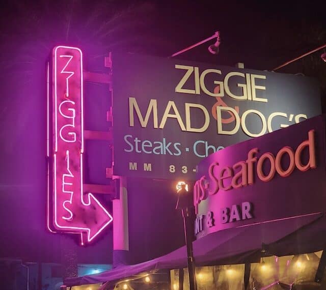 Ziggie & Mad Dogs