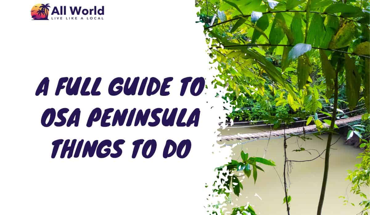 A Full Guide to Osa Peninsula Things To Do