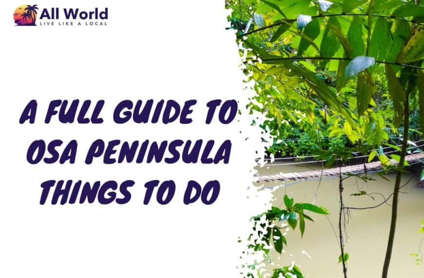A Full Guide to Osa Peninsula Things To Do
