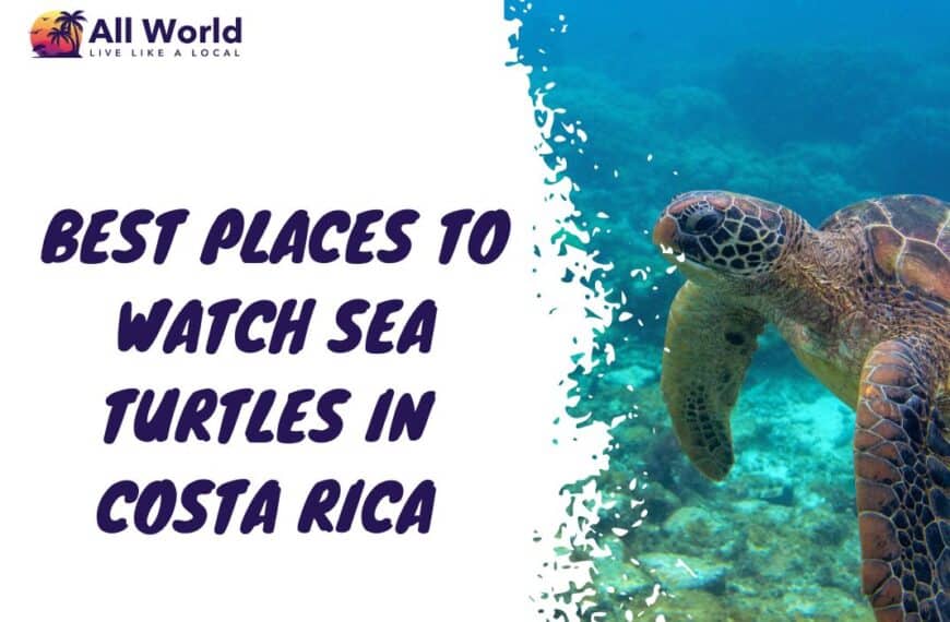 Best Places To Watch Sea Turtles In Costa Rica