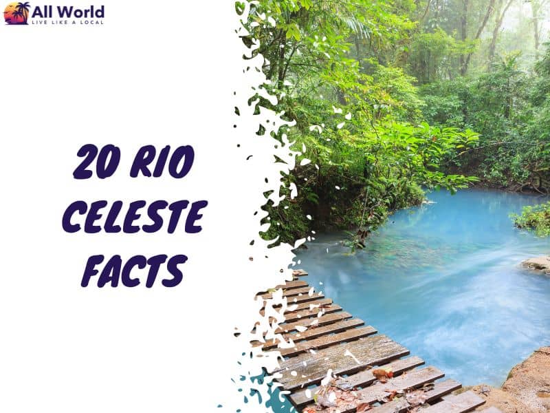 20 Rio Celeste Facts