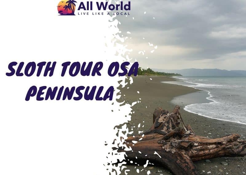 Sloth Tour Osa Peninsula