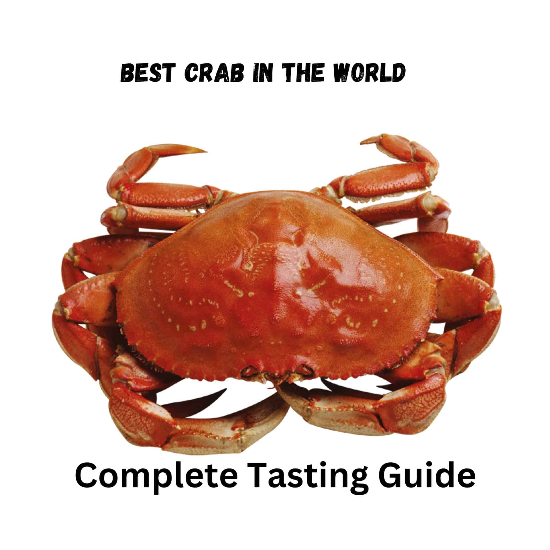 best crab in the world