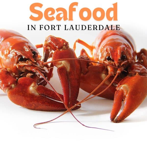 8 Best Seafood Restaurants in Fort Lauderdale