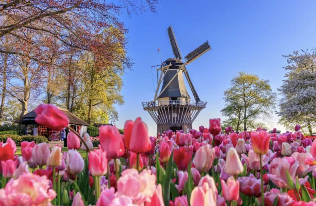 The Netherlands