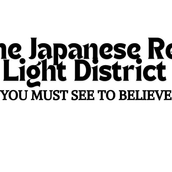 The Japanese Red Light District