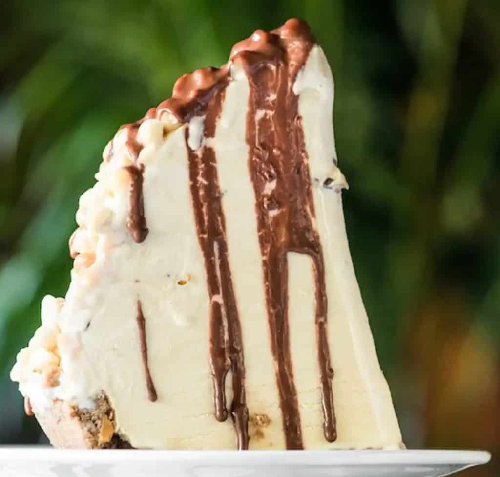 Turtle Pie from Gibson's