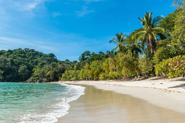 Coastline of Costa Rica with a white, sandy beach, blue green water, and lush foliage