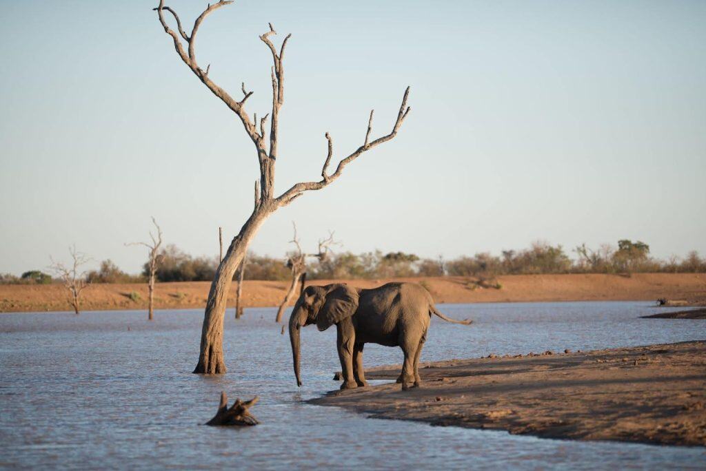 Hwange National Park