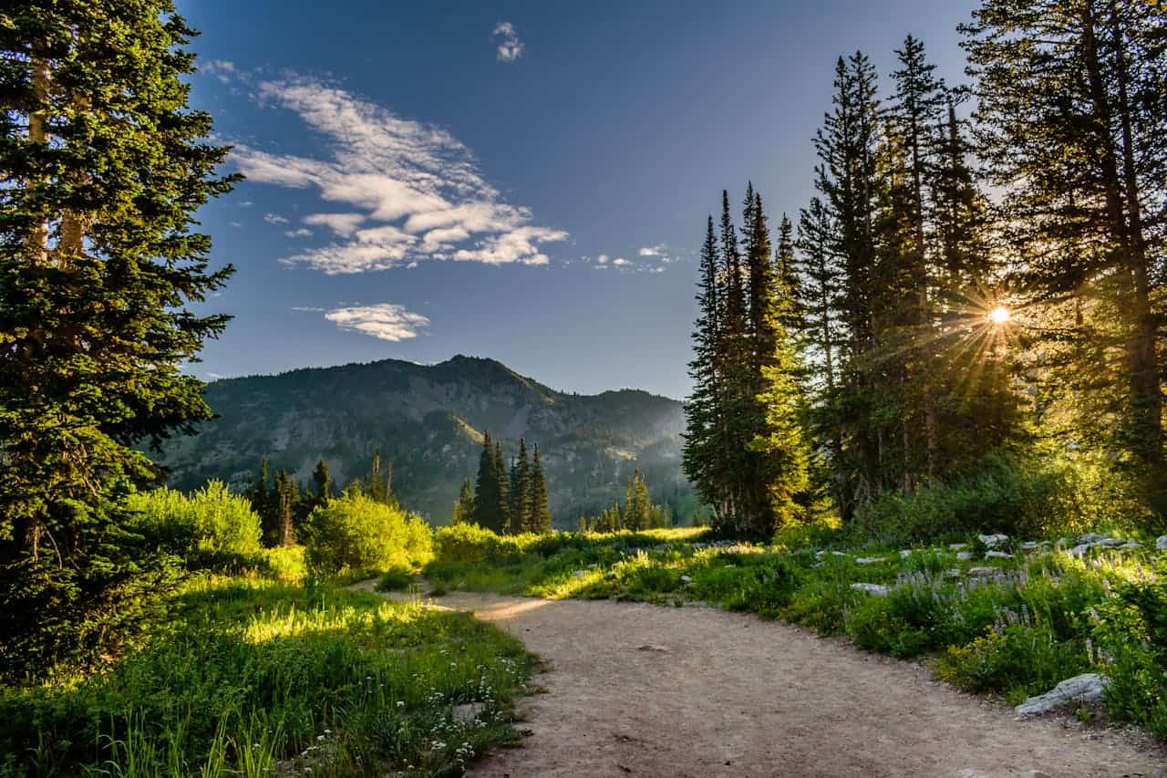 Salt Lake City road trip