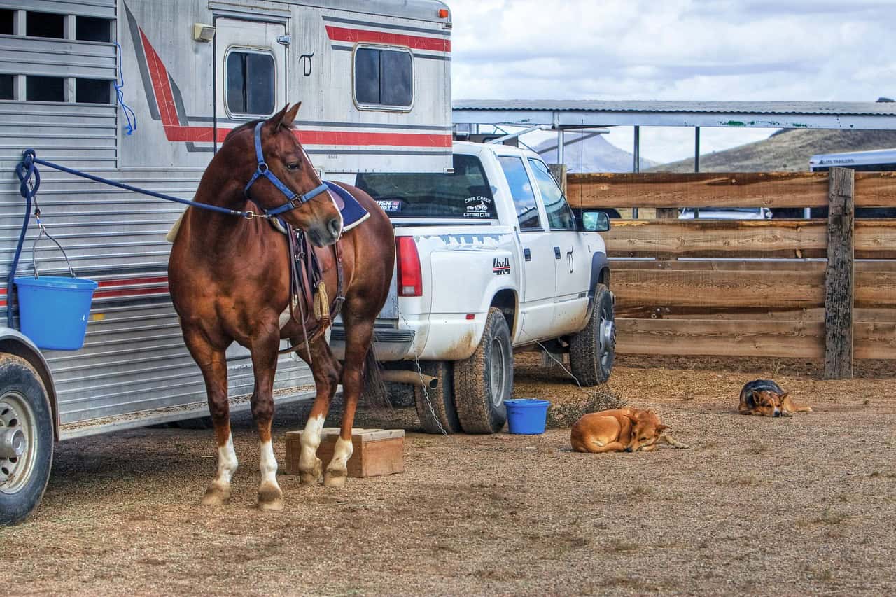 Traveling with horses