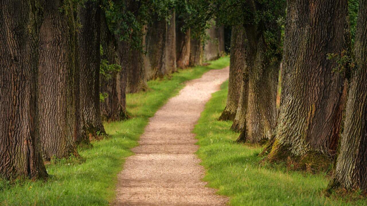 Mississippi’s National Parks