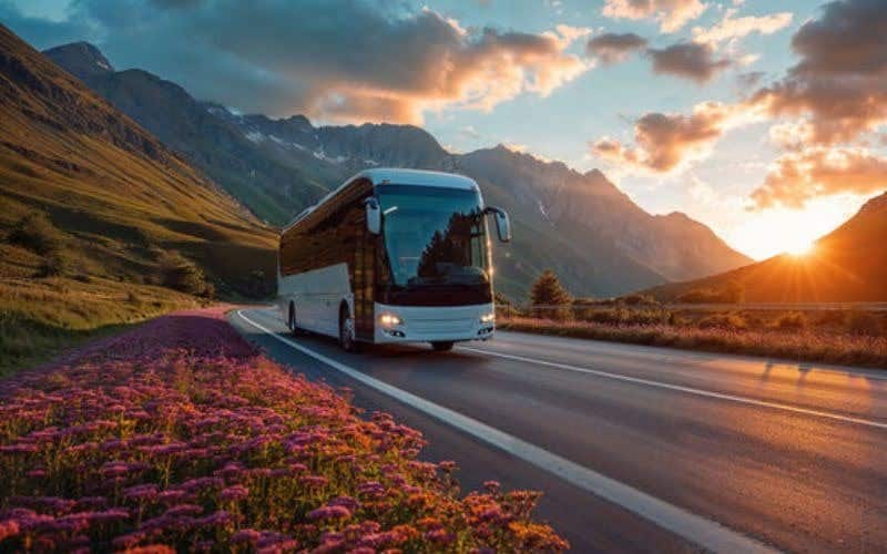 Group Trip by Charter Bus